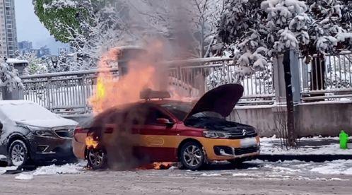 利川的士最新爆料消息,揭秘背后惊人真相